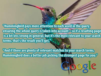 Hummingbird Google new algorithm