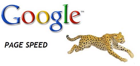 google-page-speed