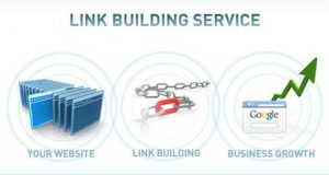 Link Building Services